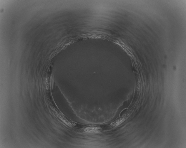 X0000084580465200703091841