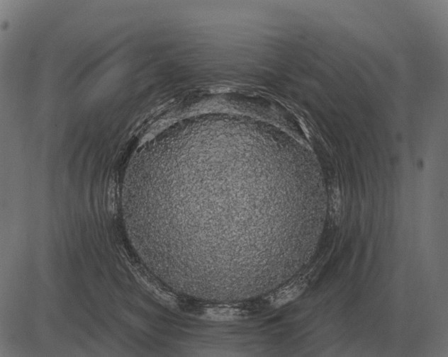 X0000084580470200703091841