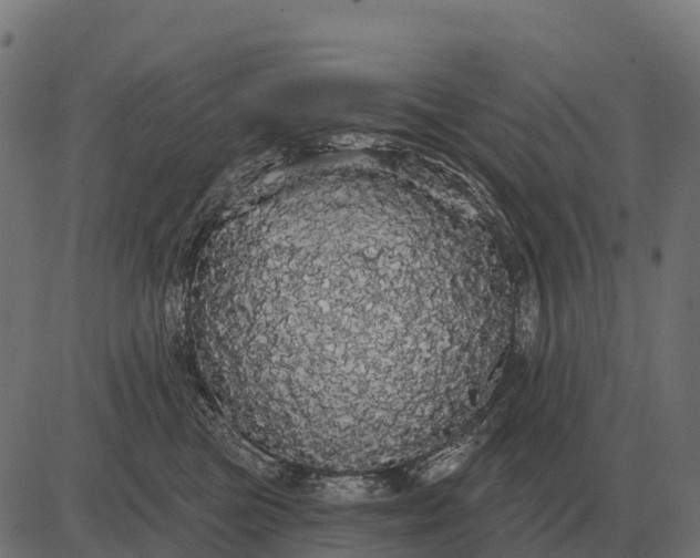 X0000084580473200703091841