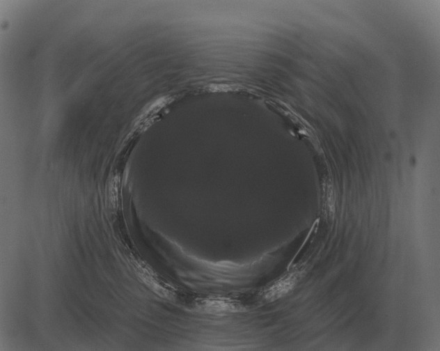 X0000084580475200703091841