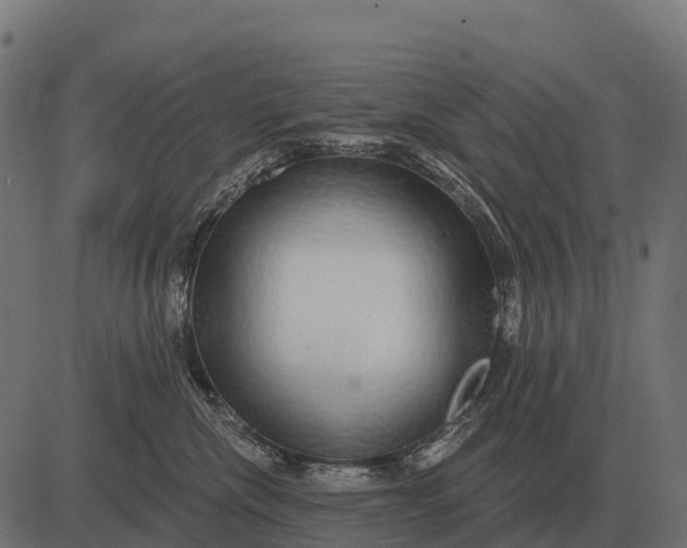 X0000084580476200703091841