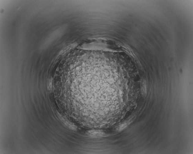 X0000084580477200703091841