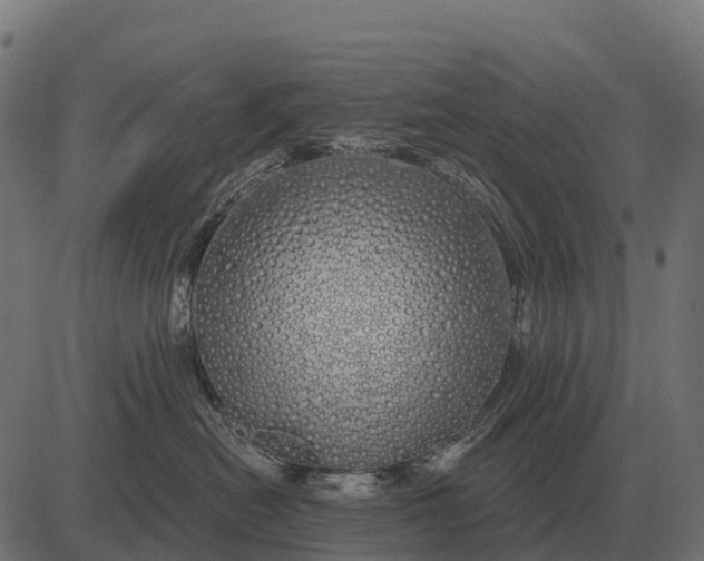 X0000084580478200703091841