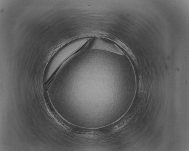 X0000084580485200703091841