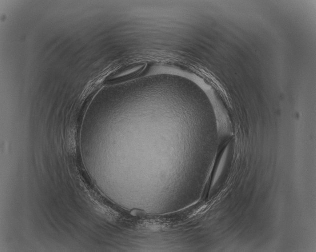 X0000084580489200703091840