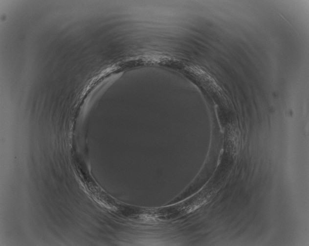 X0000084580496200703091840