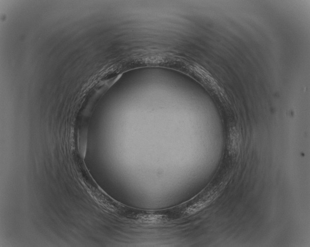 X0000084580497200703091840