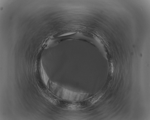 X0000084580504200703091840