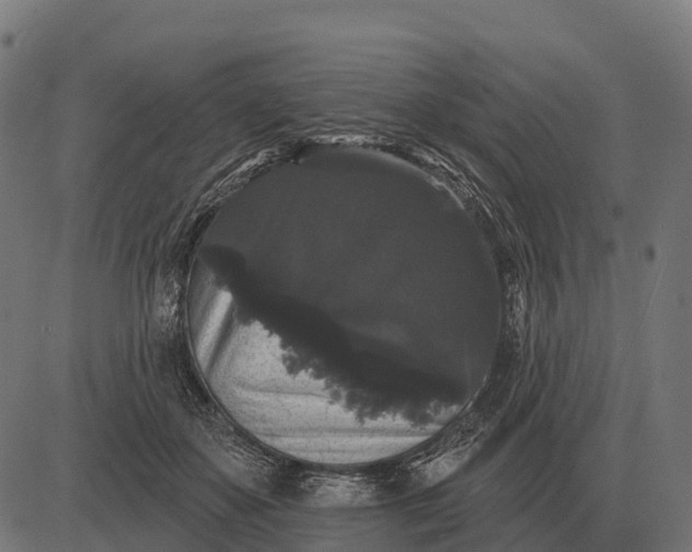 X0000084580507200703091840