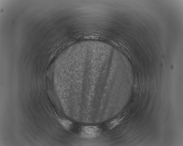 X0000084580508200703091840