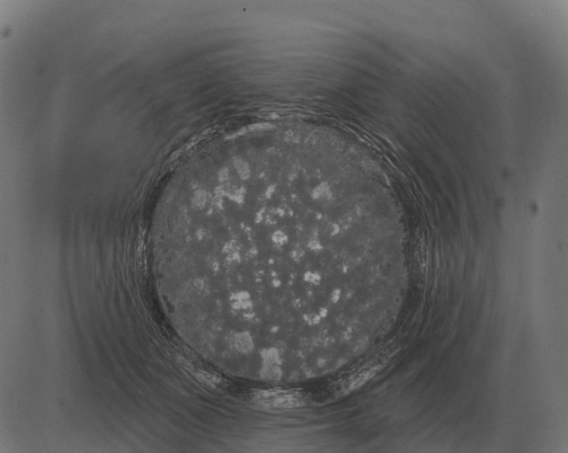 X0000084580511200703091840