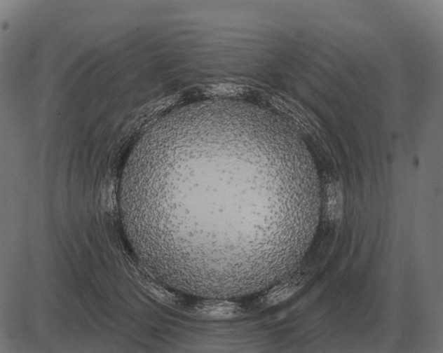 X0000084580514200703091840