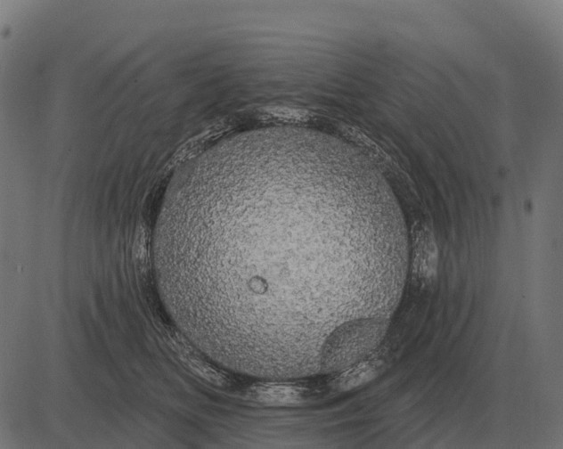 X0000084580518200703091840