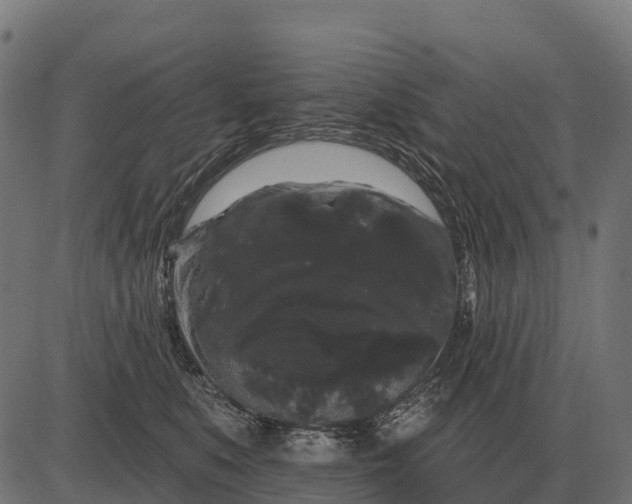 X0000084580519200703091840