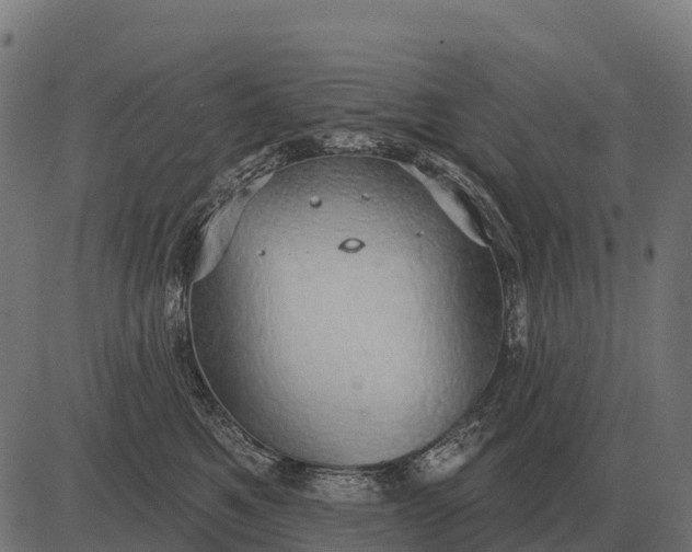 X0000084580521200703091840