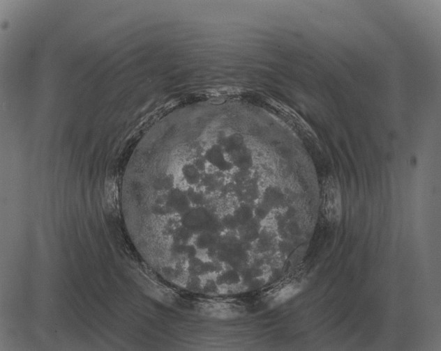 X0000084580523200703091840