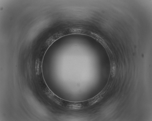 X0000084580525200703091840