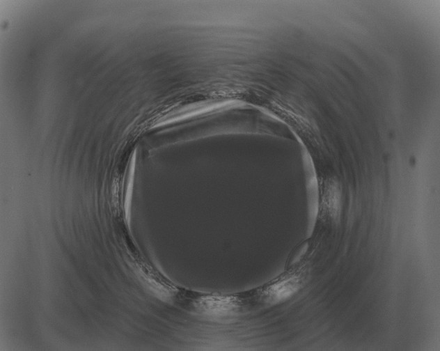 X0000084580526200703091840