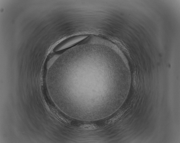 X0000084580536200703091839