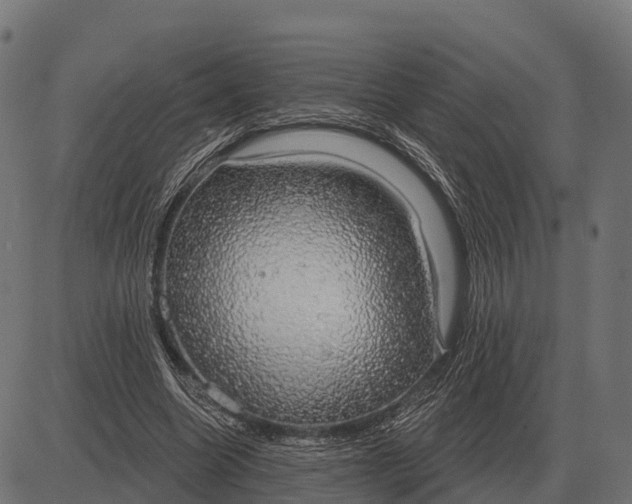 X0000084580538200703091839