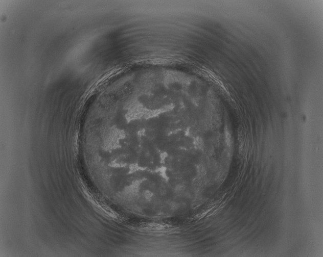 X0000084580542200703091839