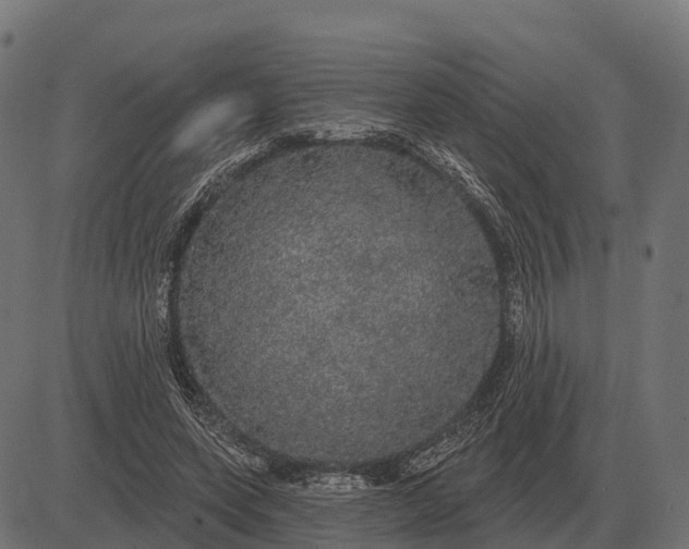 X0000084580543200703091839