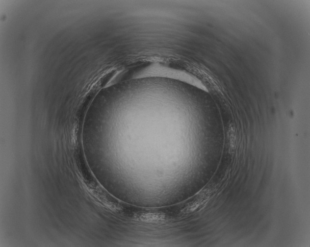 X0000084580546200703091839
