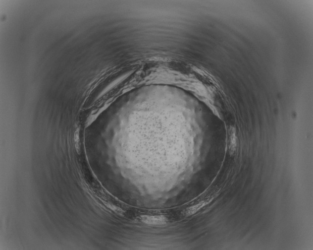 X0000084580552200703091839