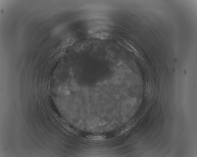 X0000084580553200703091839