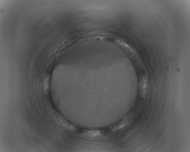 X0000084580554200703091839