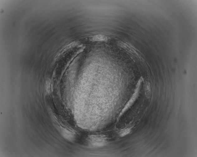 X0000084580556200703091839