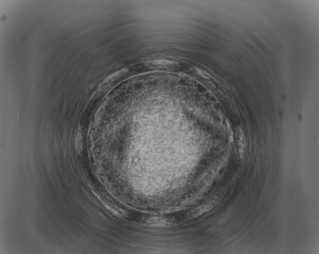 X0000084580562200703091840