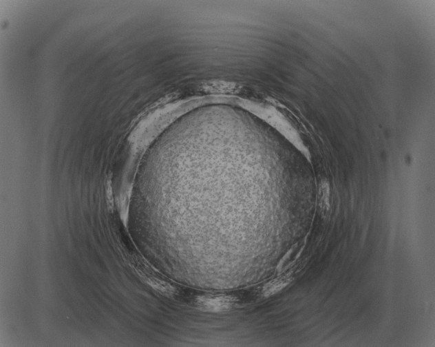 X0000084580564200703091840