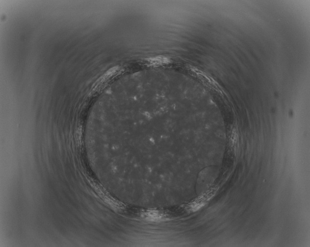 X0000084580565200703091840