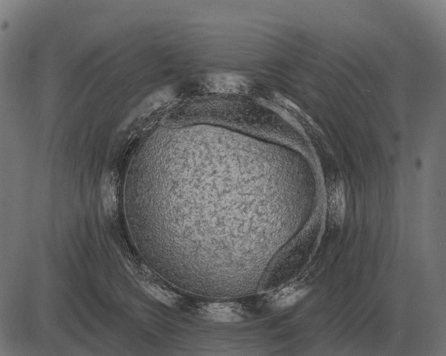 X0000084580566200703091840