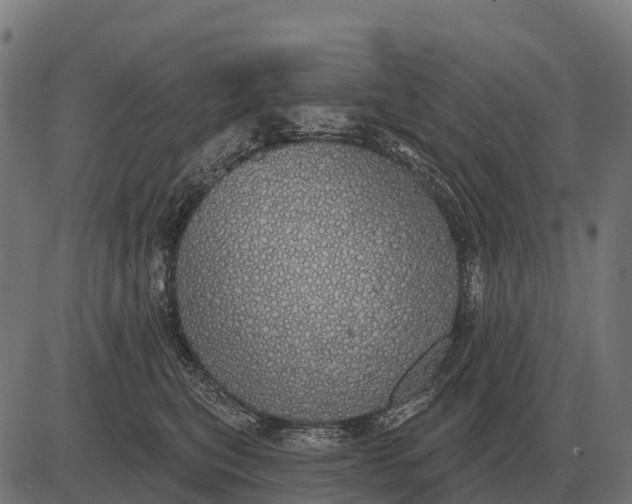 X0000084580567200703091840