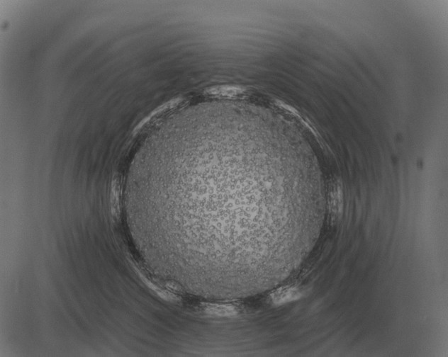 X0000084580572200703091840