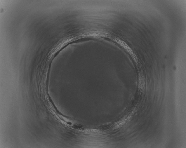 X0000084580577200703091839