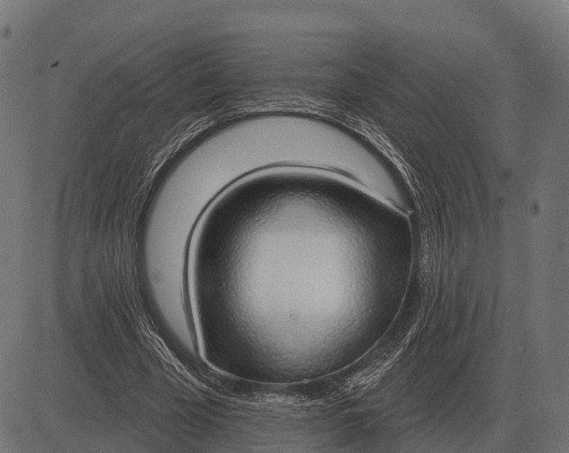 X0000084580585200703091839