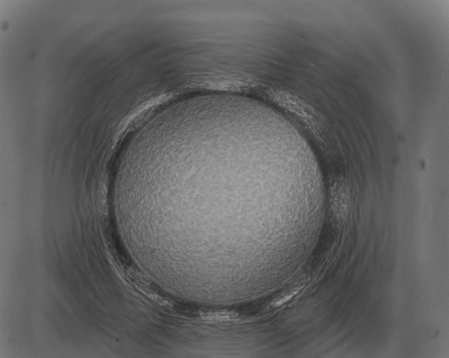 X0000084580587200703091839