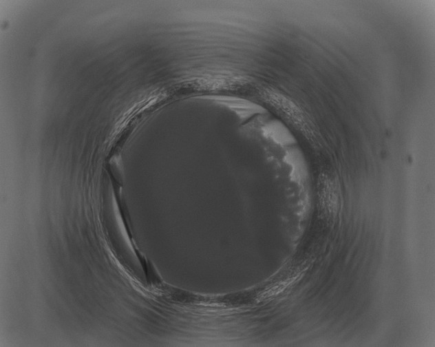 X0000084580590200703091839