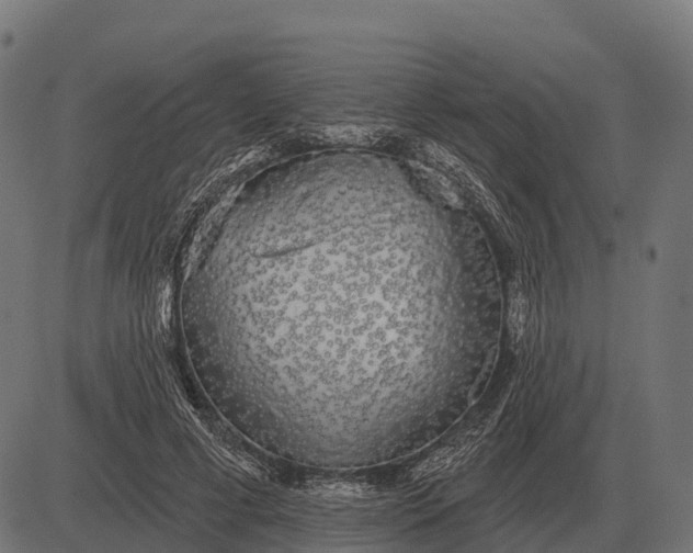 X0000084580593200703091839