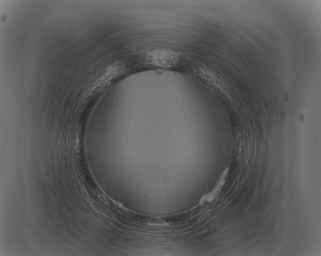 X0000084580595200703091839