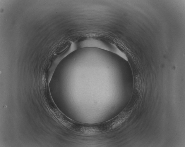 X0000084580597200703091839