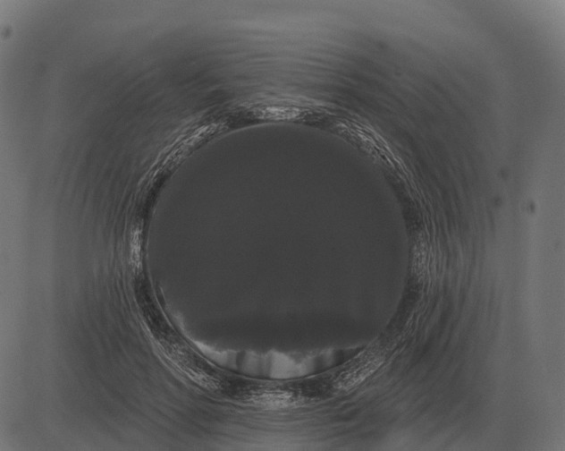 X0000084580598200703091839