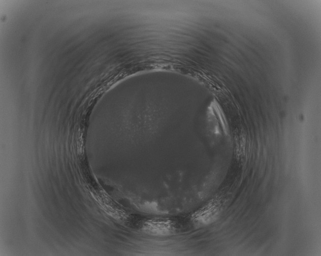 X0000084580606200703091839