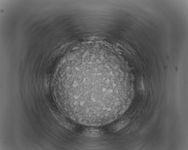 X0000084580607200703091838