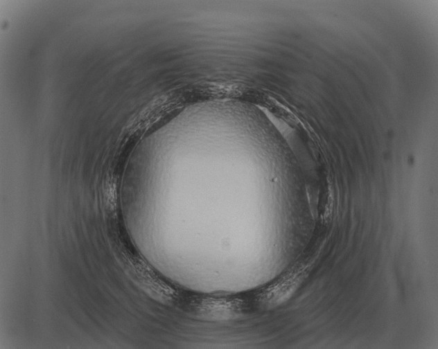 X0000084580613200703091838