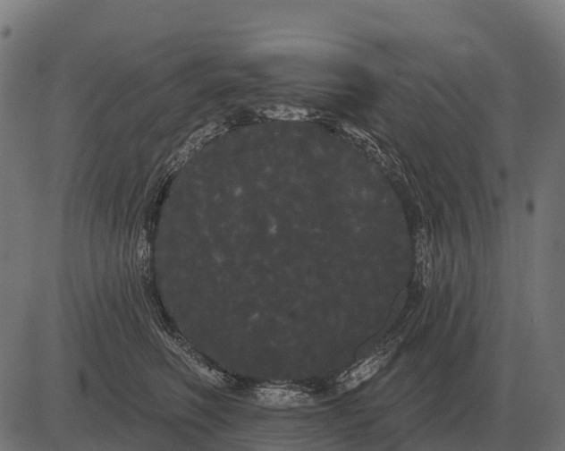 X0000084580614200703091838