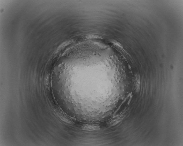 X0000084580619200703091838